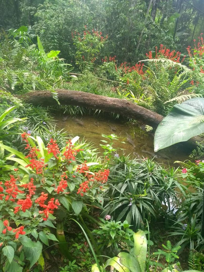 Lugar Parque das Aves