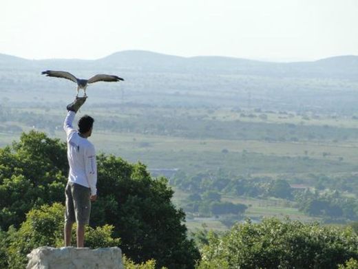 Parque dos Falcões