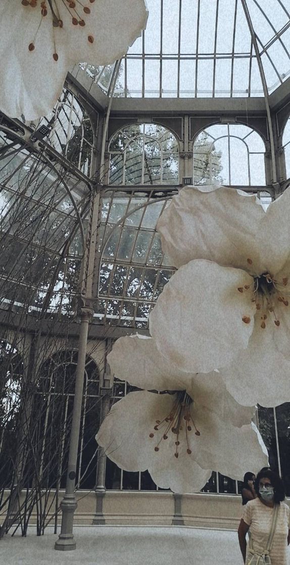 Place Palacio de Cristal