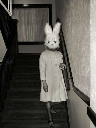 Scary bunny aestetich