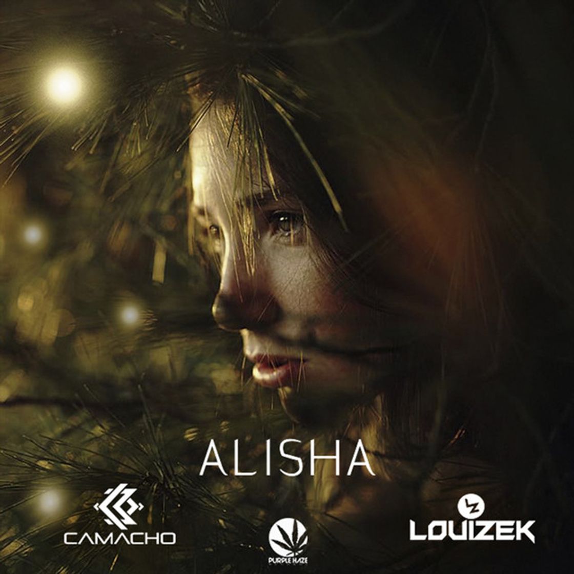 Canción Alisha