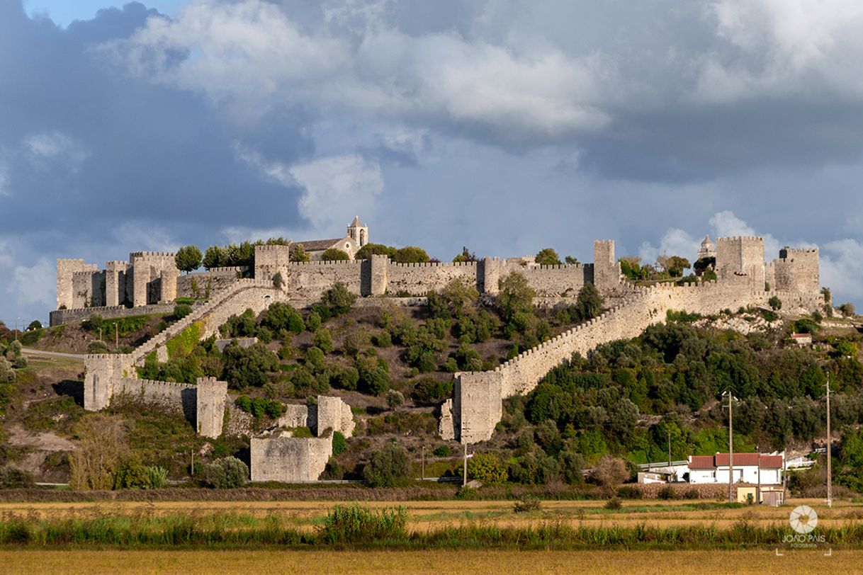 Social Montemor-o-Velho