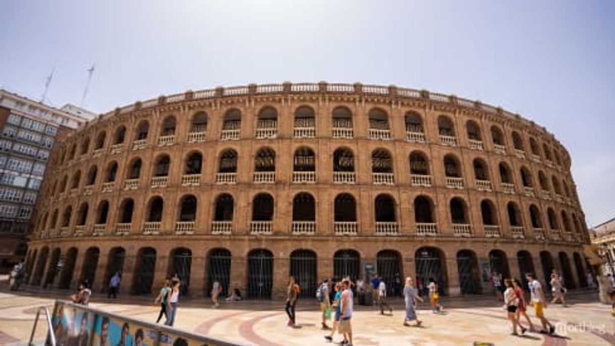 Place Plaza de Toros de Valencia