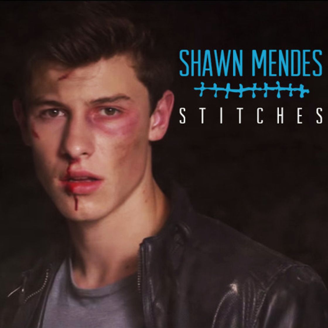 Canción Stitches