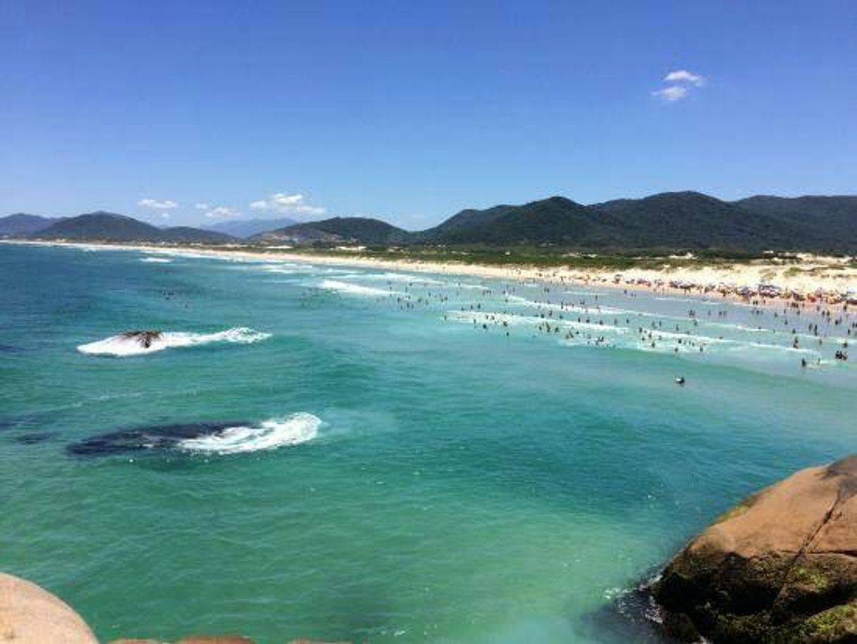 Place Playa de Joaquina