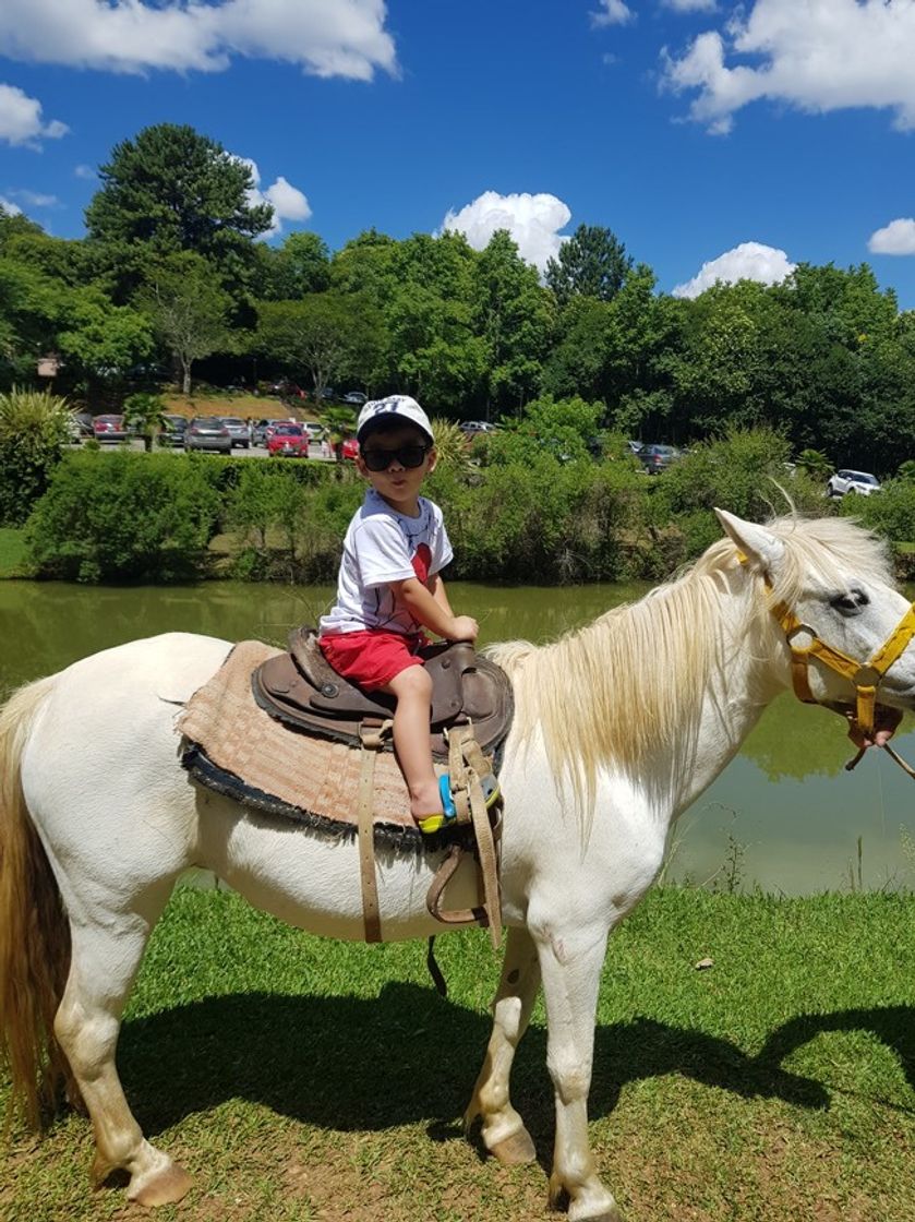 Restaurants Chácara Evíssima Restaurante e Lazer Rural