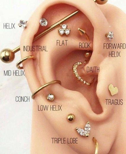 todos os tipos de piercing na orelha 