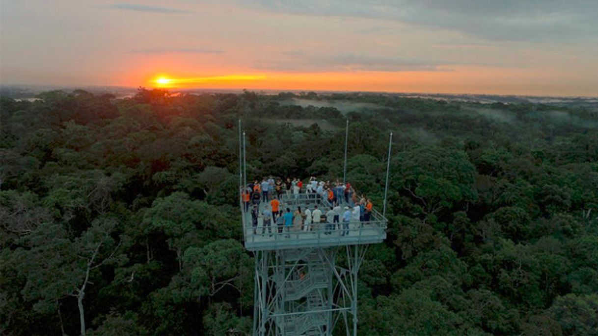 Place MUSA Museu da Amazônia