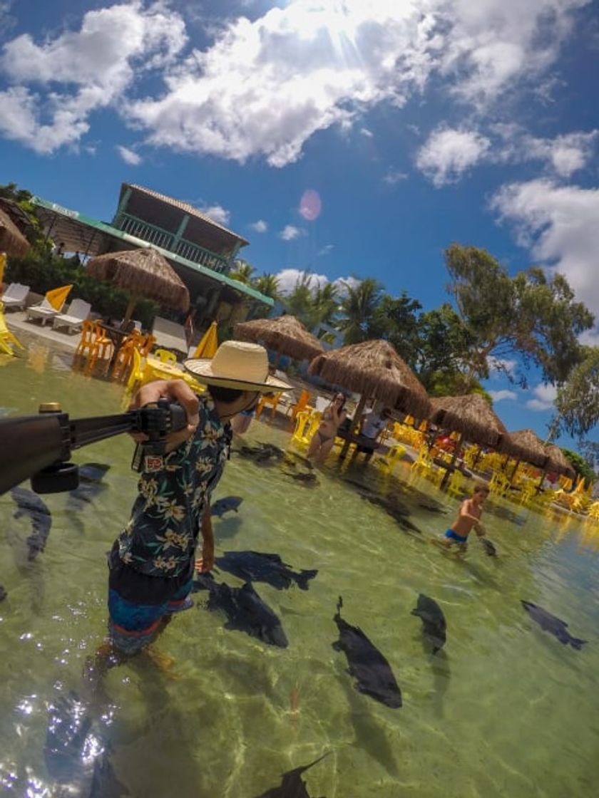 Lugar Lagoa dos Tambaquis