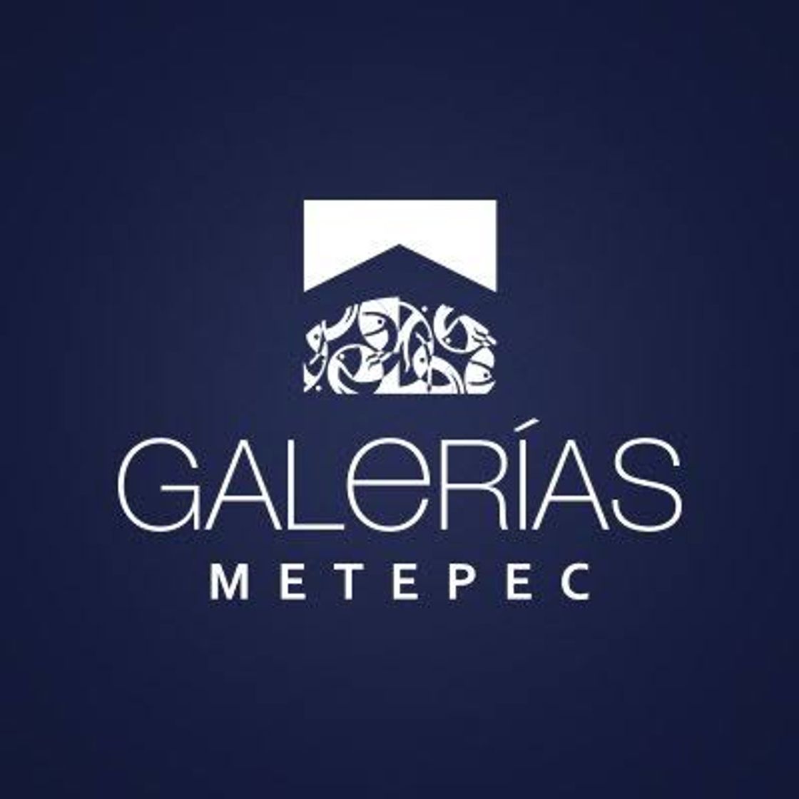 Place Galerías Metepec.