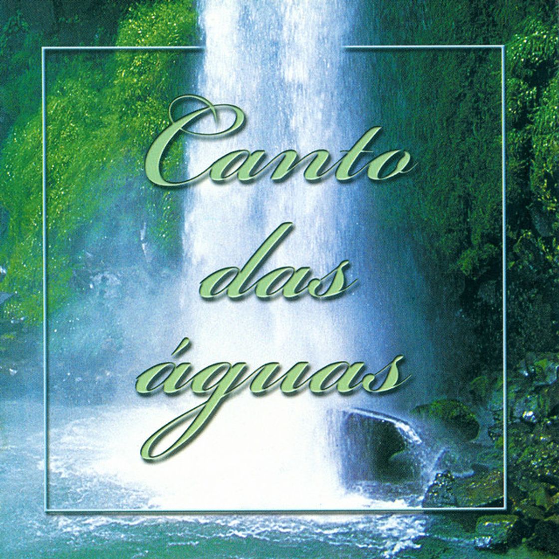 Canción Navegarei