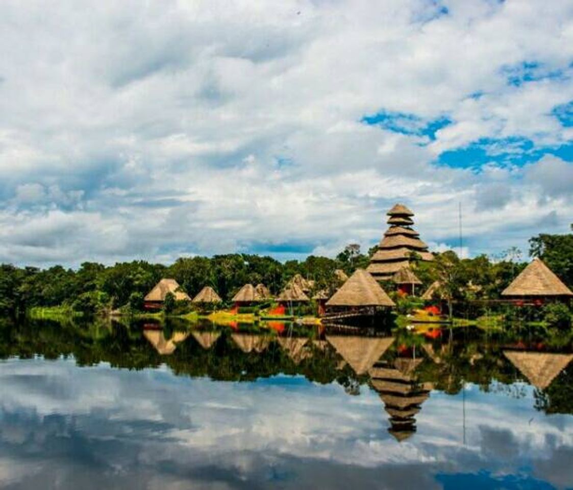 Lugar Yasuni National Park