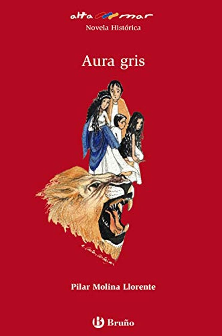 Book Aura gris