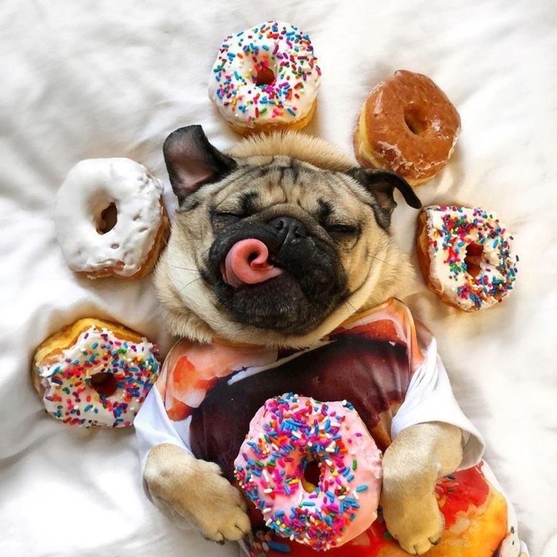 donut 