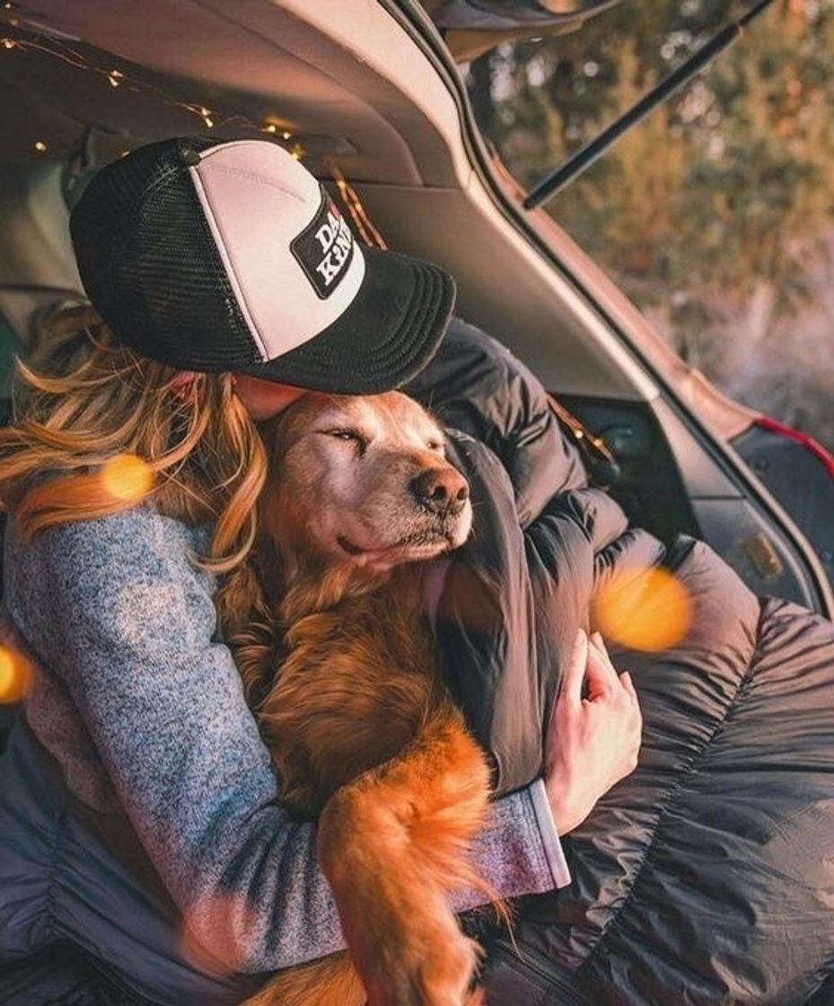 Fofo