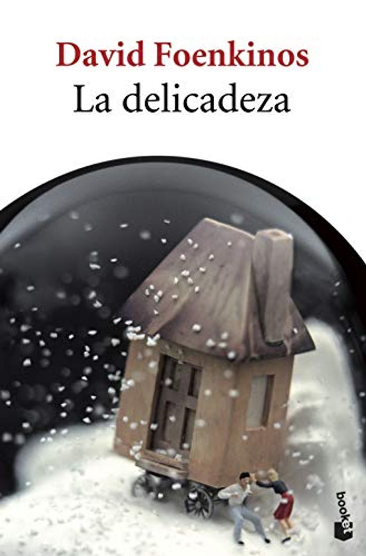 Libro La delicadeza