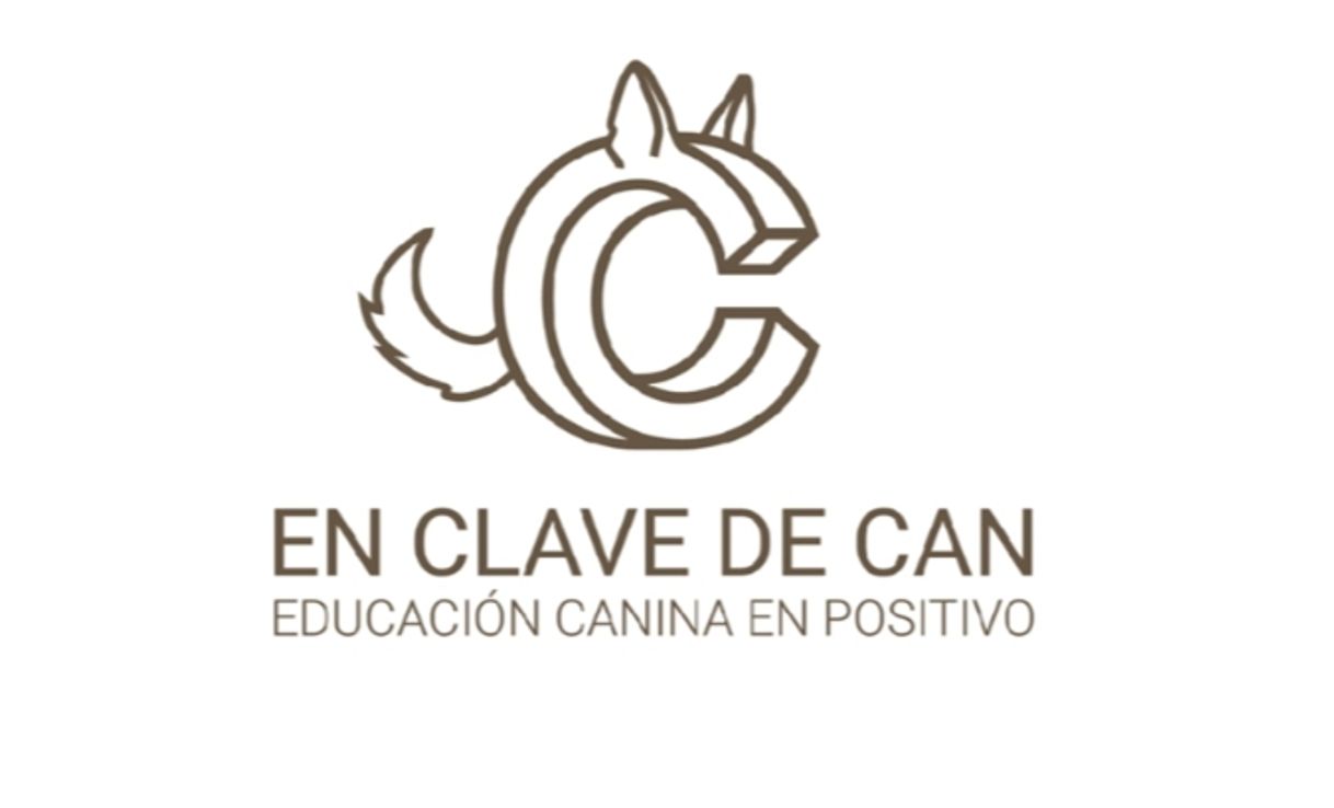 Fashion En Clave de Can. Educación canina en positivo.