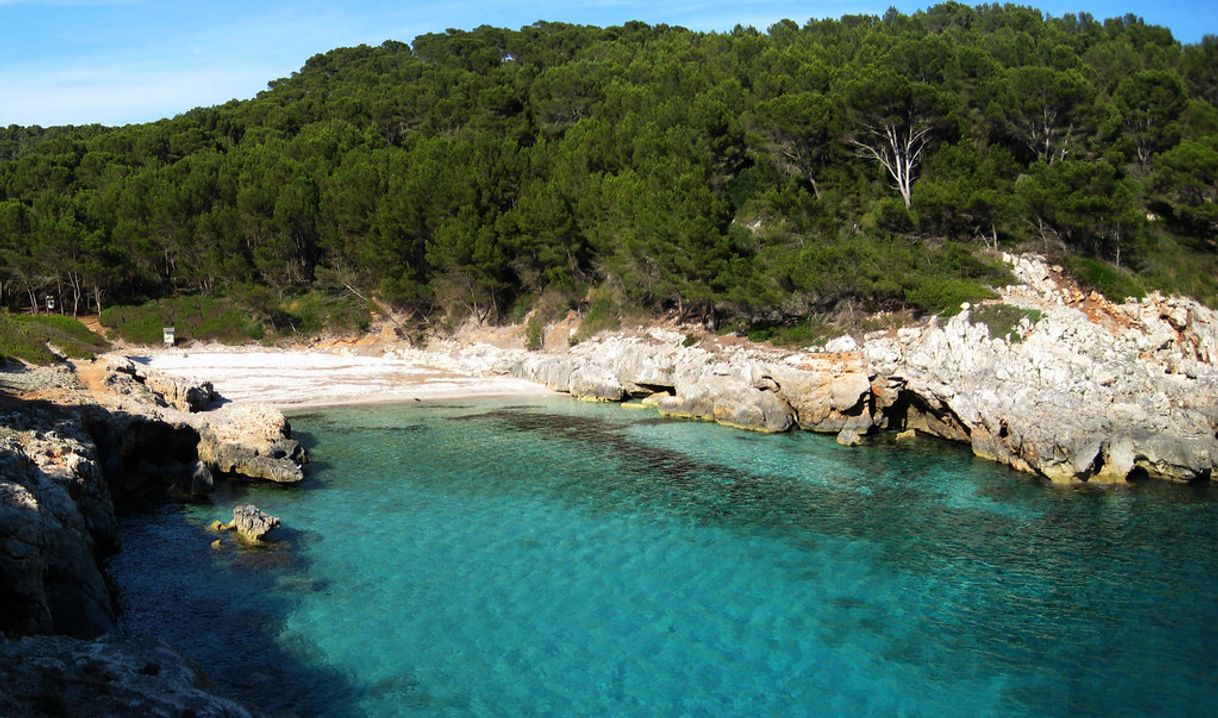 Place Cala Fustam