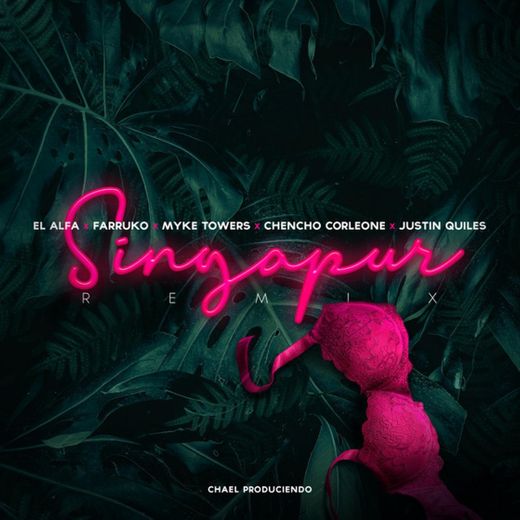 Singapur (Remix)