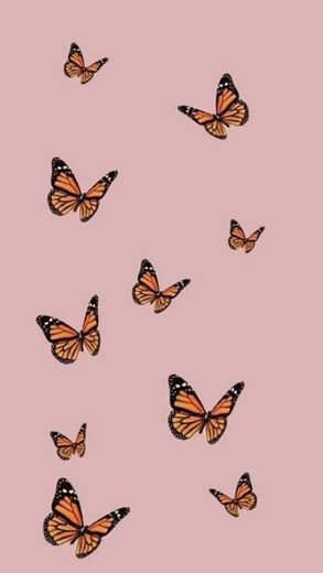 wallpaper de borboleta 