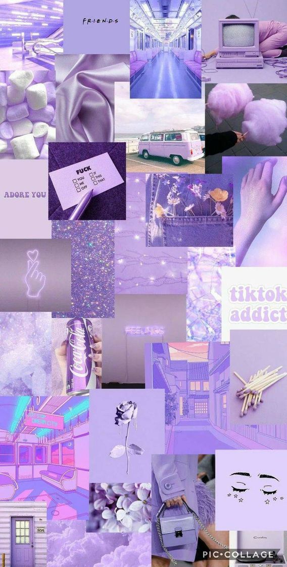 Moda Wallpaper roxo