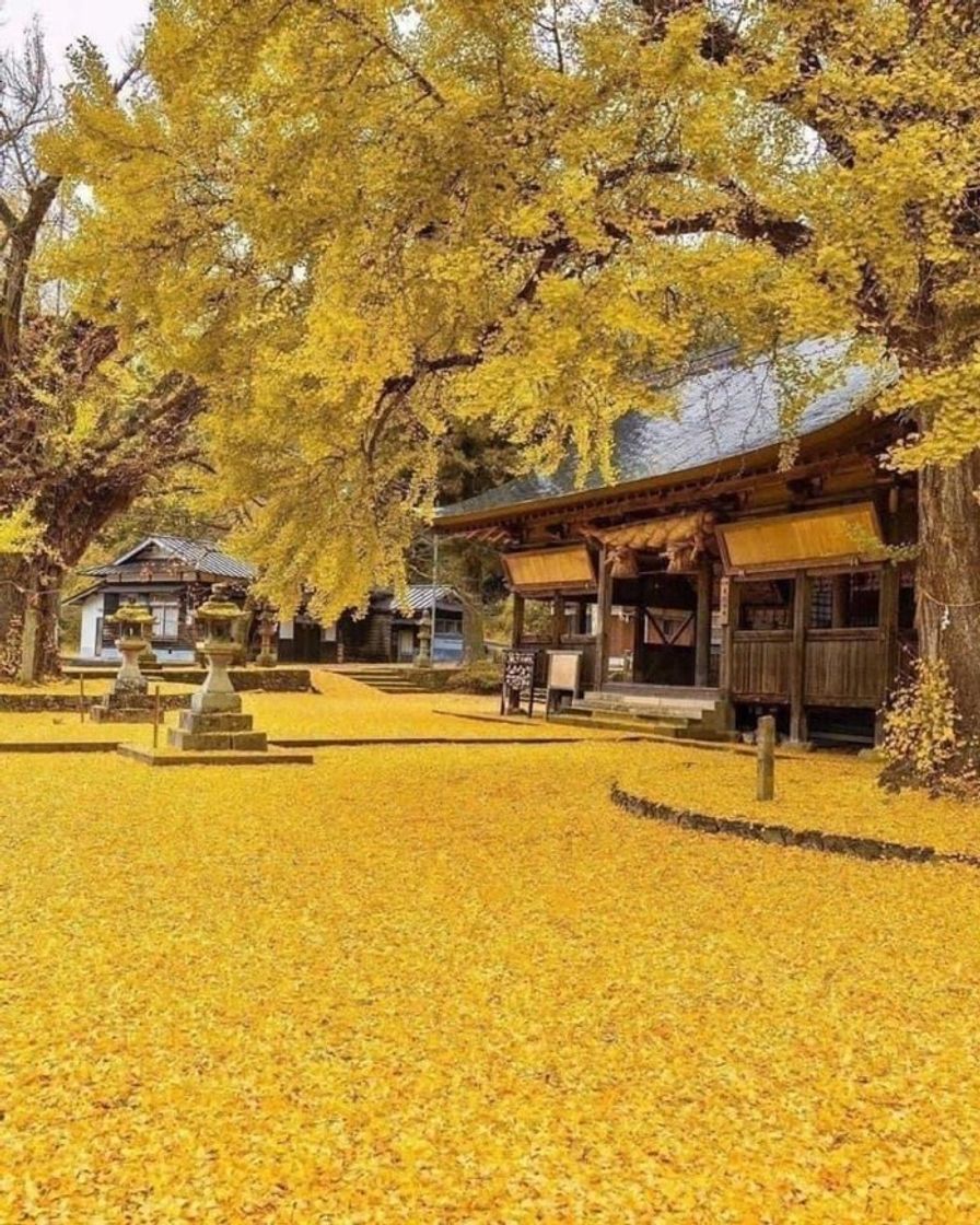 Restaurant Okayama