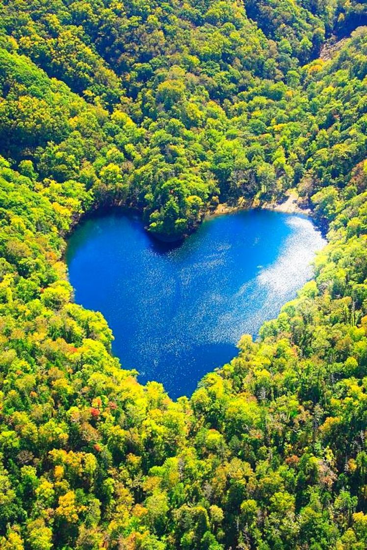 Lugar Toyoni Lake