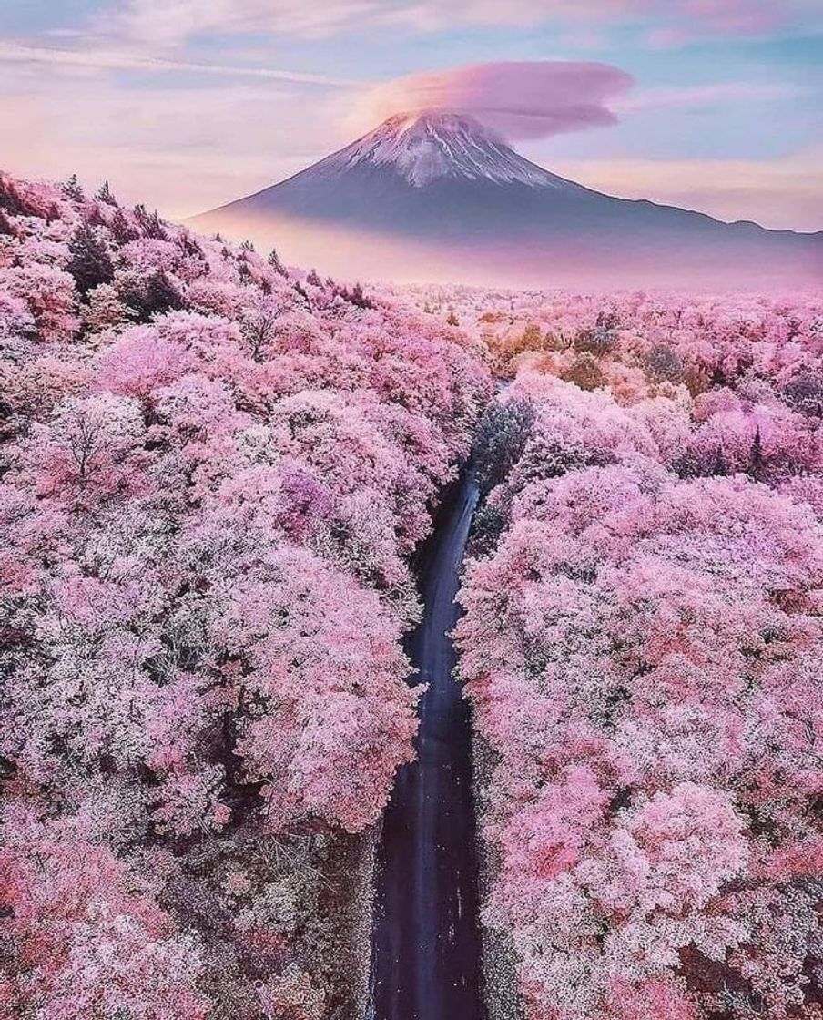 Place Mount Fuji