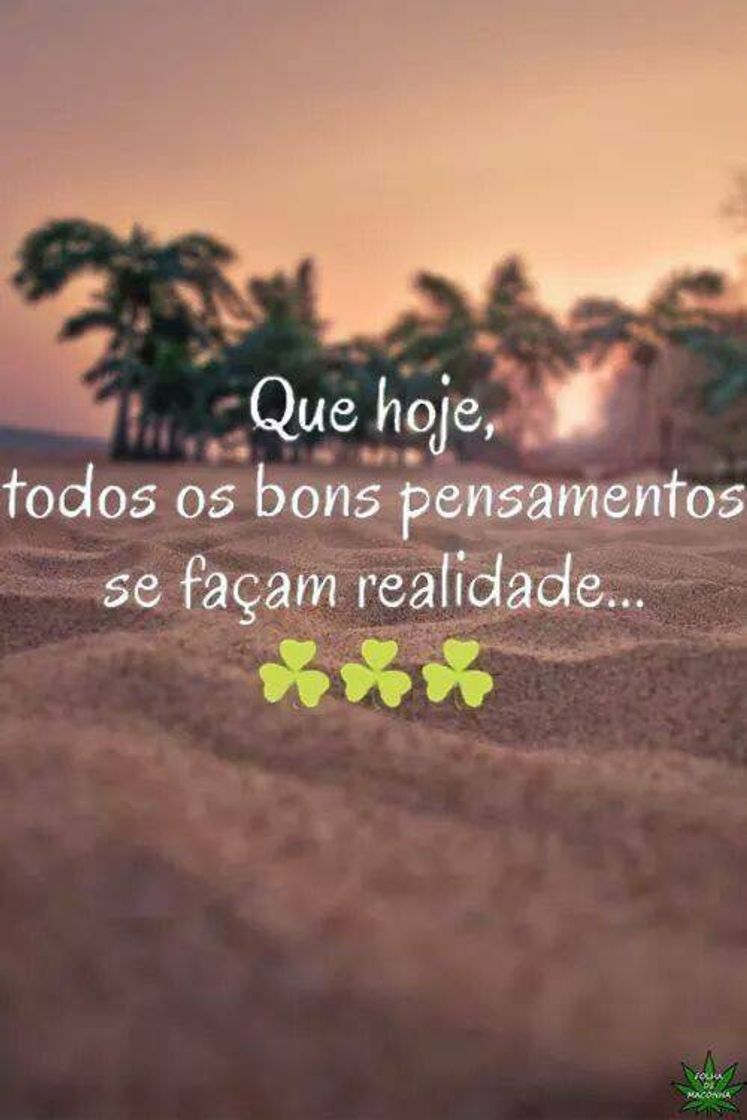 Social 📝