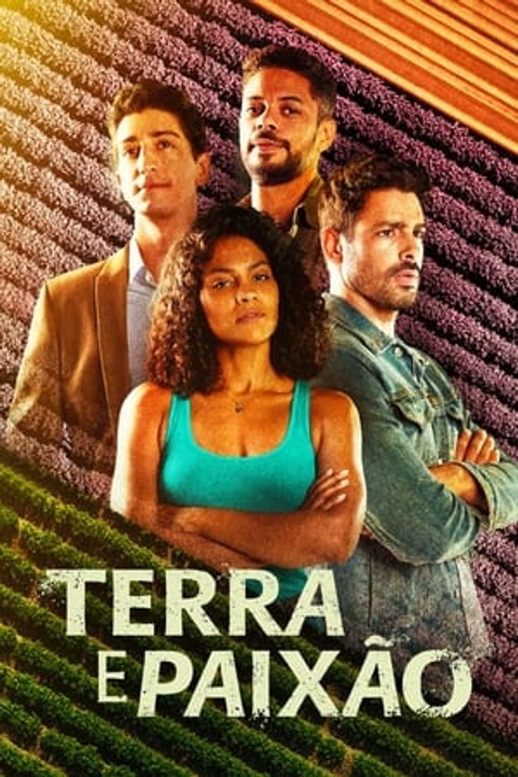 Serie Terra e Paixão