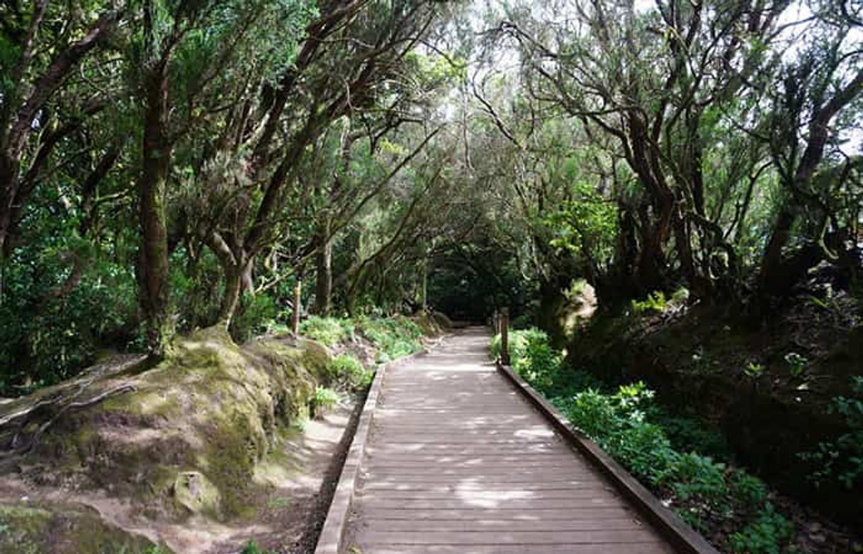 Lugar Paseo de los Sentidos