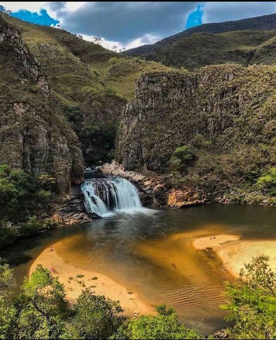 Moda Zé Carlinho😍