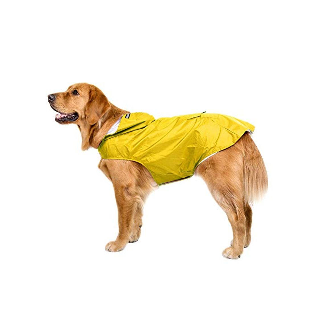 Productos Bwiv Impermeable Chubasquero para Perros Grandes con Capucha Ajustable Ultra-Light Transpirable Impermeable