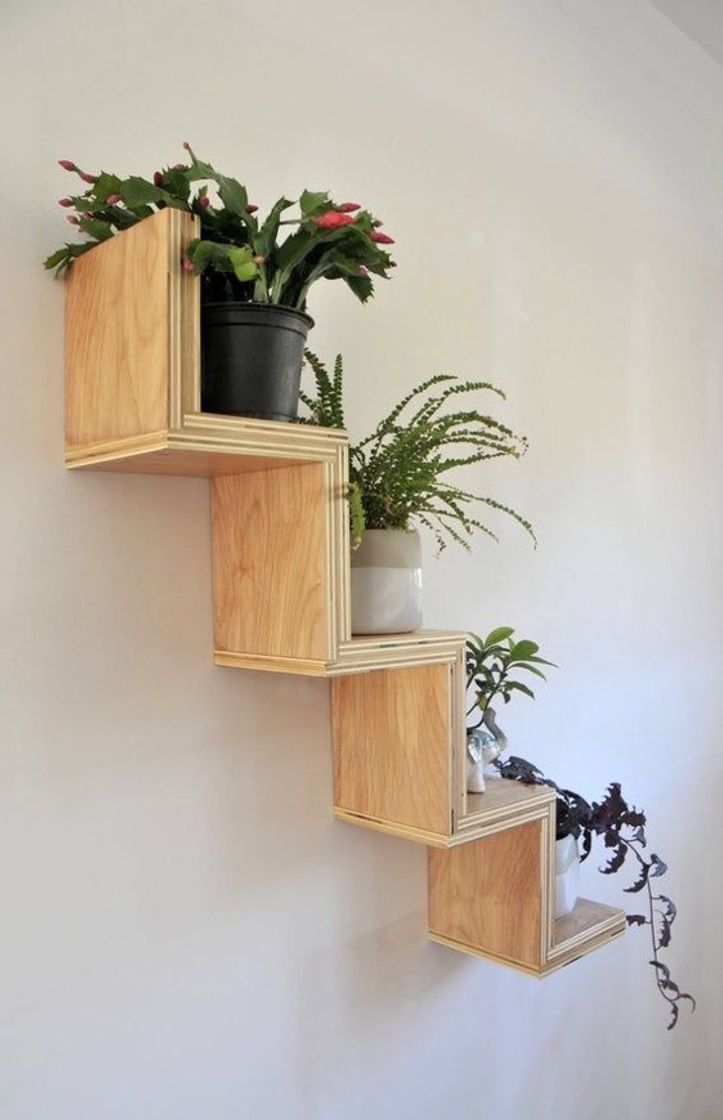 Moda Decoração com plantas 