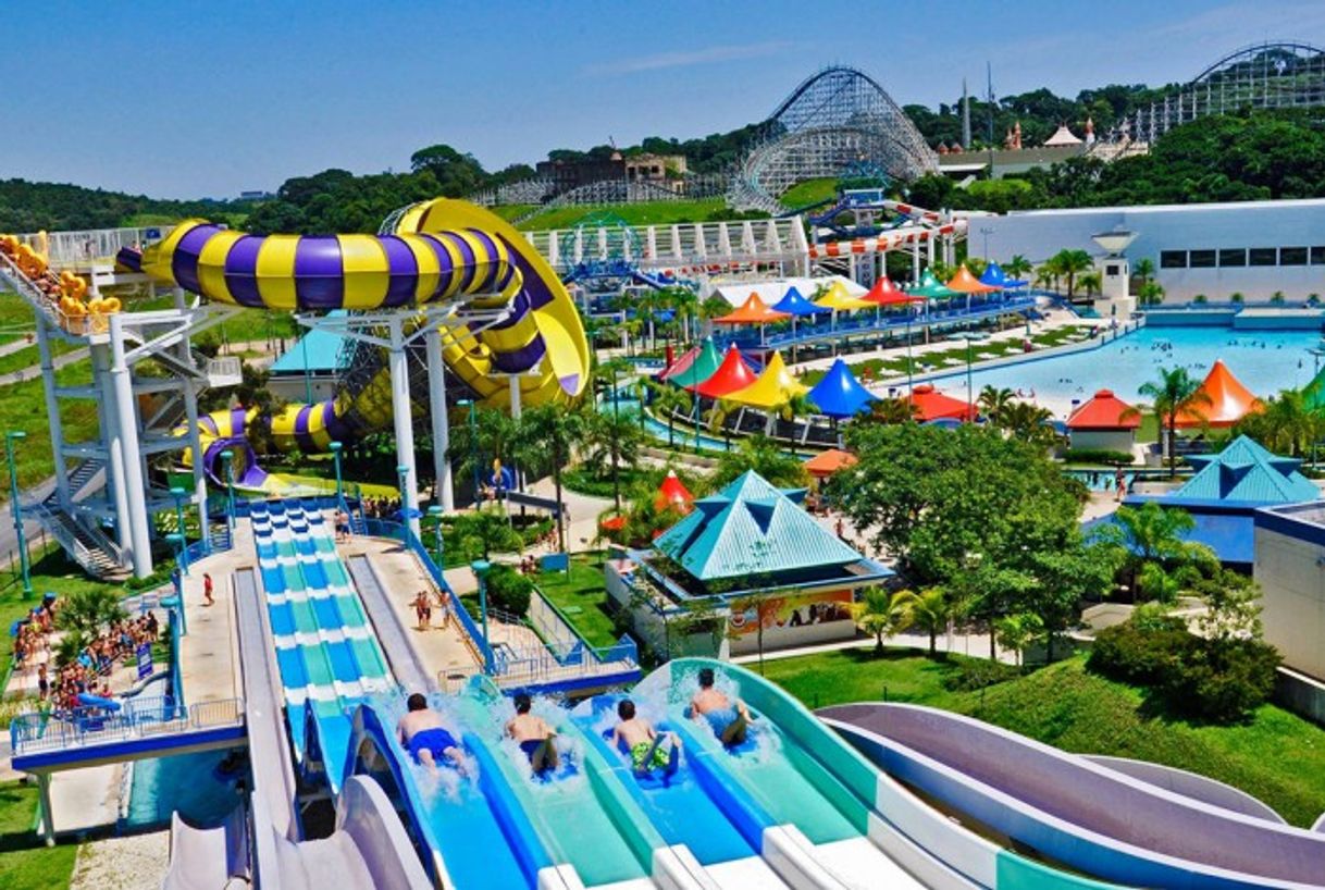 Lugar Wet'n Wild