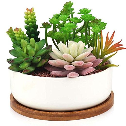 Macetero moderno de cerámica Innoter para suculentas o cactus