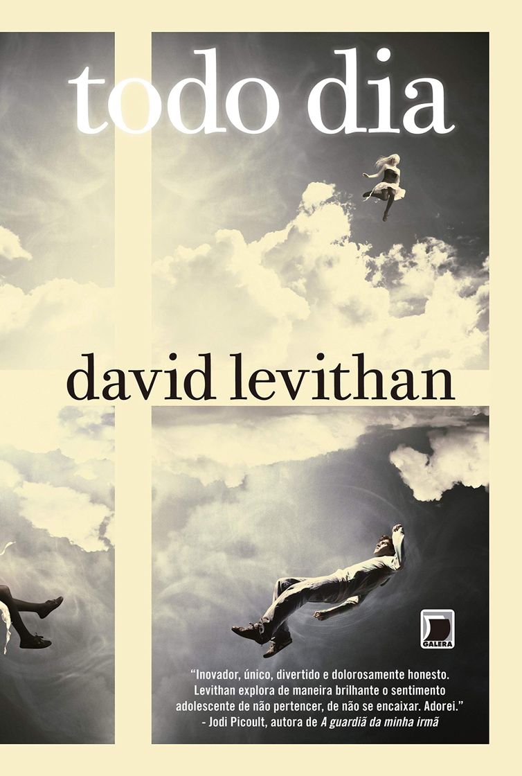 Book Todo Dia- David Levithan