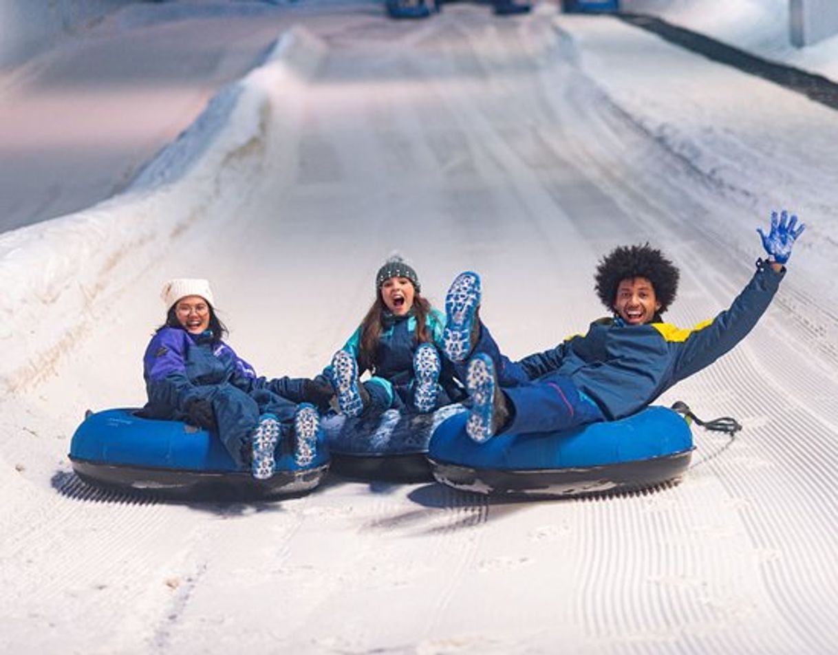 Place Snowland