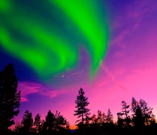 Aurora boreal: o que é, onde ver e como se planejar para a aventura