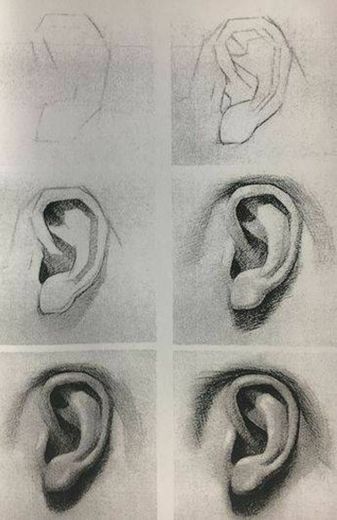 Desenhando uma orelha 