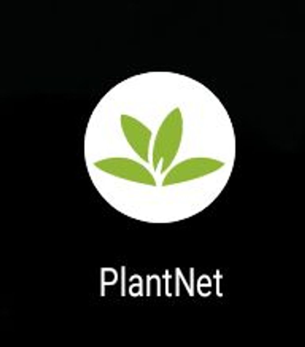 Apps PlantNet