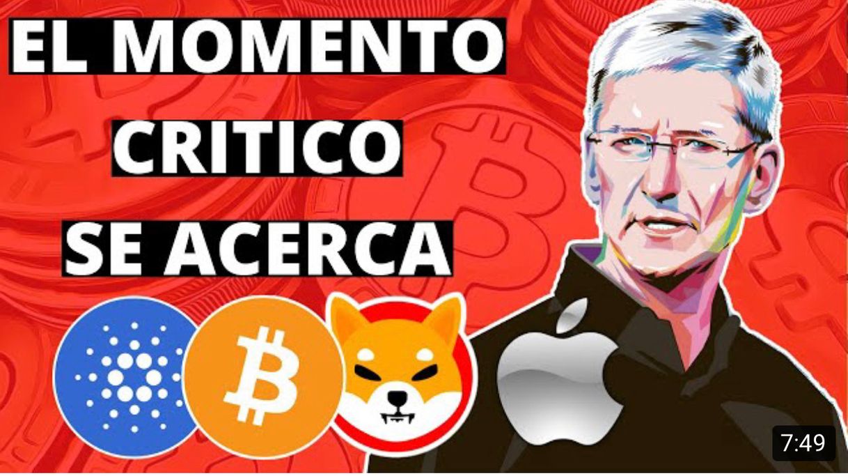 Fashion ✅Noticias Criptomonedas😱ATENTOS CON ESTO | Cardano | Shiba 