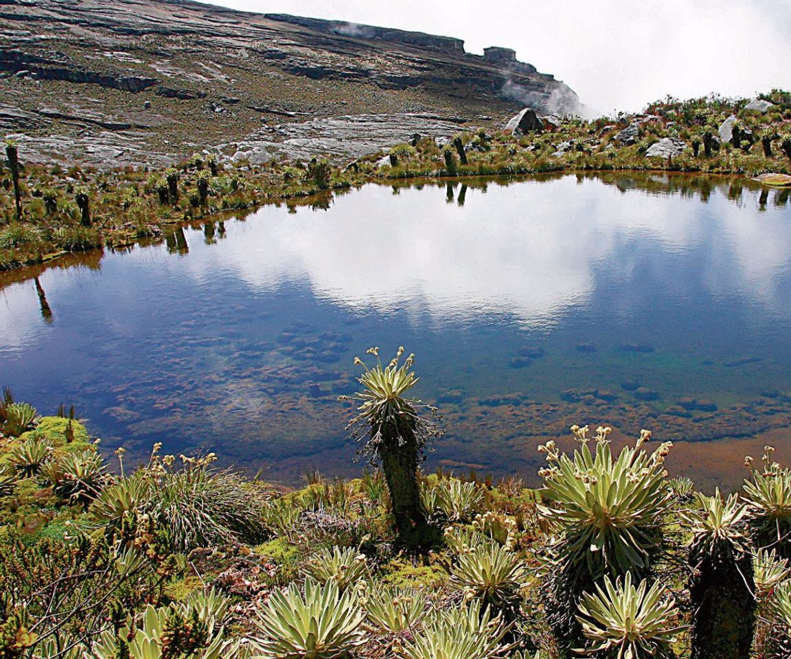 Lugar Sumapaz Páramo