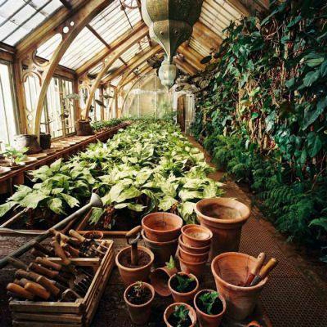 Herbology 💕