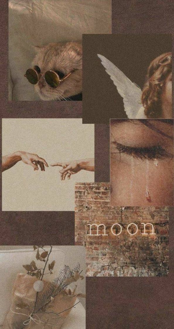 Moda Aesthetic vibes wallpaper