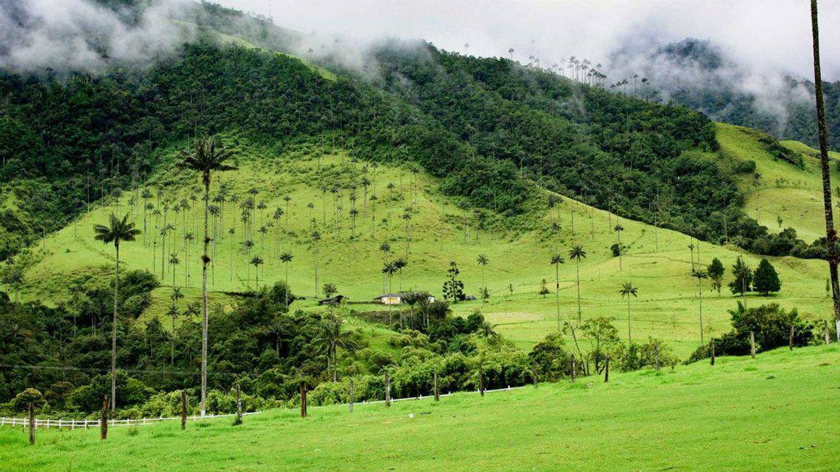 Lugar Eje Cafetero Colombia