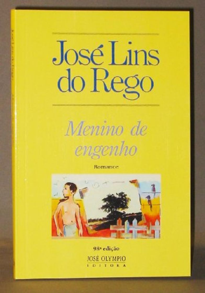 Book Menino de engenho