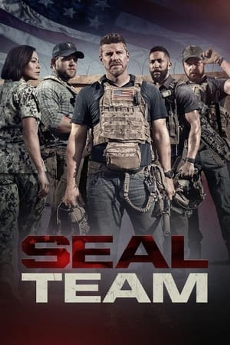 Serie SEAL Team