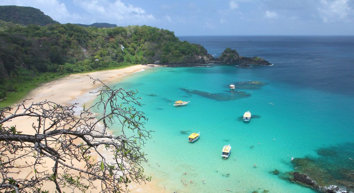 Place Fernando de Noronha 