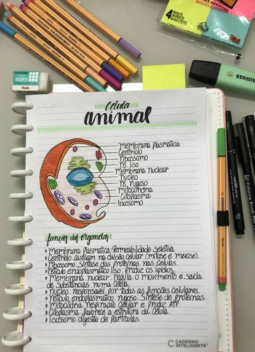 Moda Biologia celular e molecular 🧬🔬